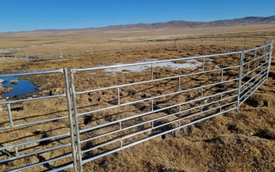 СҮҮЖИЙН БУЛГИЙН ЭХ ХАШААЖУУЛЛАА